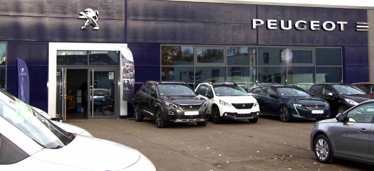 German Peugeot car dealer now back at work