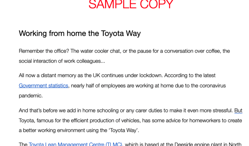 Working from home sample copy